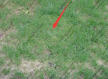 杭州不銹鋼草盆井蓋,不銹鋼井蓋生產特點有哪些？